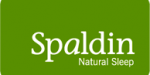 logo_spaldin
